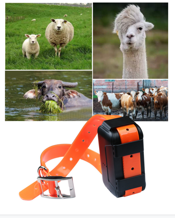 cattle and sheep locator pet locator GPS tracker waterproof cattle and sheep electronic positioning tracker