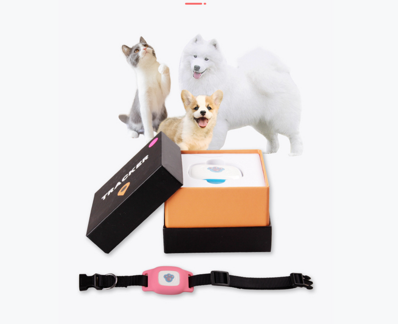 Pet locator with dog collar tracker pet kitten cattle and Sheep