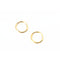 2 Pcs Premium Ring Body Pierce - Gold