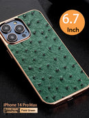 ABD-040503 For Apple 14promax High-End Leather Ostrich Pattern Iphone 13pro Phone Case Limited Collection Head Layer Cowhide 12 Personalized Custom Plating Plus Fashion Business Fall Protection Case