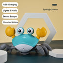 XJK-042602  Children's Toys, Electric Sensors, Escape Octopus, Crabs, Will Crawl and Run!