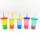 5 pcs Reusable Bottles With Straw - Multicolors