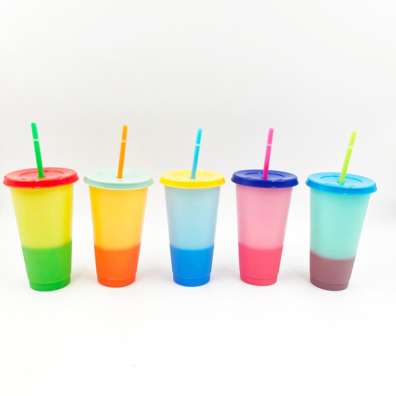 5 pcs Reusable Bottles With Straw - Multicolors