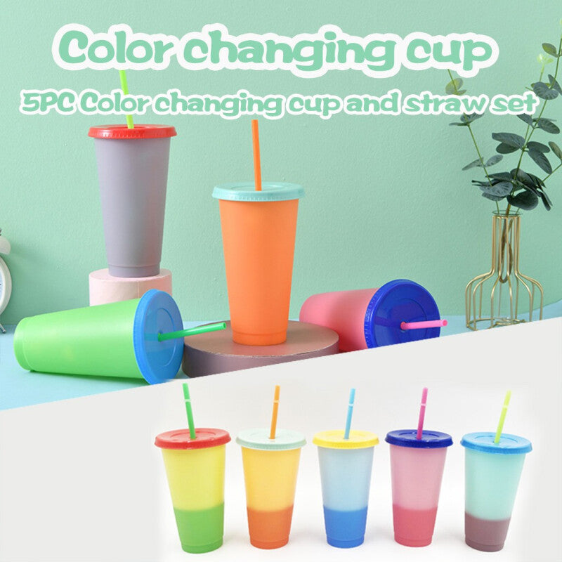 5 pcs Reusable Bottles With Straw - Multicolors