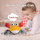 ABD-042603 Crab electric educational toy that crawls and moves and escapes, attracts baby boys and girls from 1 to 2 years old