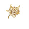 Aiyaya Premium Freshwater Cultured Brooches - Gold