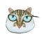 Cute Fashion Women Mini Coin Purse Wallet Cat Animal Head Print Zipper Closure Small Clutch Bag