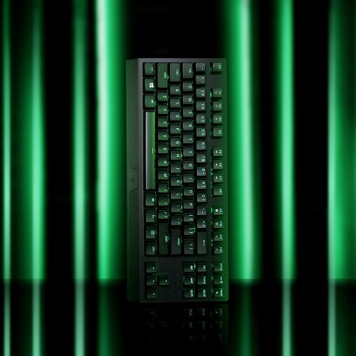 Razer BlackWidow X Tenkeyless Mechanical Keyboard Wired Gaming Keyboard 87 Keys Esports keyboard Green Mechanical Switches