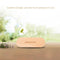 yvonne Wooden USB Flash Drive Rotatable Pen Drive 16G Memory Stick Pendrives Gift