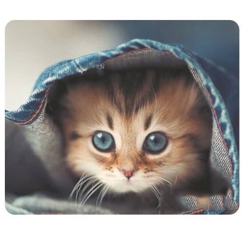 CAT-1 Mouse Pad Cute Cat Picture Anti-Slip Gaming Mouse Mat for PC Computer Laptop MackBook