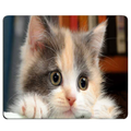 CAT-1 Mouse Pad Cute Cat Picture Anti-Slip Gaming Mouse Mat for PC Computer Laptop MackBook