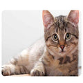 CAT-1 Mouse Pad Cute Cat Picture Anti-Slip Gaming Mouse Mat for PC Computer Laptop MackBook