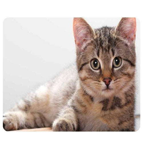 CAT-1 Mouse Pad Cute Cat Picture Anti-Slip Gaming Mouse Mat for PC Computer Laptop MackBook