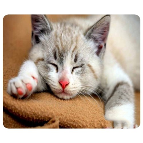 CAT-1 Mouse Pad Cute Cat Picture Anti-Slip Gaming Mouse Mat for PC Computer Laptop MackBook