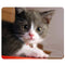 CAT-1 Mouse Pad Cute Cat Picture Anti-Slip Gaming Mouse Mat for PC Computer Laptop MackBook