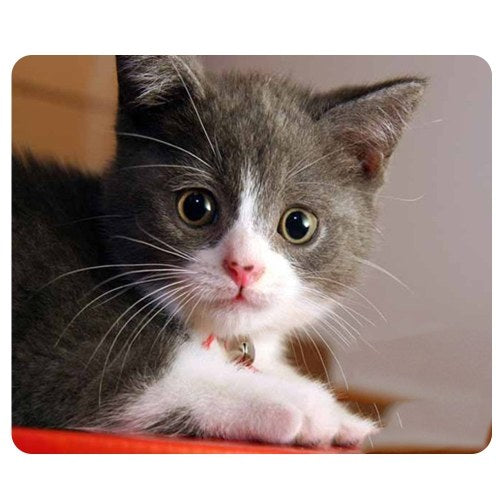 CAT-1 Mouse Pad Cute Cat Picture Anti-Slip Gaming Mouse Mat for PC Computer Laptop MackBook