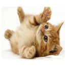 CAT-1 Mouse Pad Cute Cat Picture Anti-Slip Gaming Mouse Mat for PC Computer Laptop MackBook