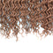 Chorliss Curly Crochet Style Synthetic Hair - Brown