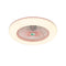 36W Modern LED Ceiling Light Ceiling Fan with Lighting LED Light