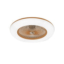 36W Modern LED Ceiling Light Ceiling Fan with Lighting LED Light