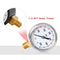 TS-Y50-600psi High Accuracy Radial Pressure Gauge Meter 1/4"NPT Brass Pressure Measuring Tool Oil Pressure Tester