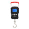 50Kg/5g LCD Digital Display Backlight Portable Hanging Hook Scale Double Accuracy Fishing Travel Mini Electronic Weighing Scale