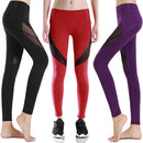 New Women Leggings Sports Pants Sheer Mesh Splicing High Waist Yoga Pants Stretchy Jogging Fitness Tights Gym Trousers Black/Purple/Red