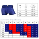 Mens Mesh Breathable Underwear Nylon Casual Thin Solid Color Sexy Boxers Cool Summer