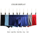 Mens Mesh Breathable Underwear Nylon Casual Thin Solid Color Sexy Boxers Cool Summer