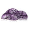 4 Pcs Set Cosmetic Bags Multifunction Make Up Cases Leopard Shell Shape Blue