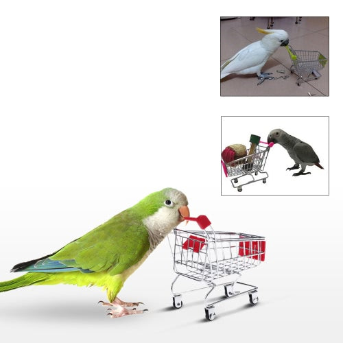 Cute Metal Mini Shopping Cart Pet Bird Parrot Toy for Conures Parakeet Lovebirds Cockatiel