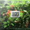 Mini LCD Digital Fish Tank Aquarium Thermometer Water Temperature Meter 0°C~37°C