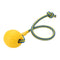 Training Behavior Solutions Dog Solid Ball with Durable Rope High Quality EVA Material Pet Chew Toy