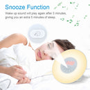 Wake Up Light Alarm Clock Sunrise/Sunset Simulation Digital Clock