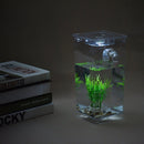 Self Cleaning Small Fish Tank Bowl Convenient Acrylic Desk Aquarium for Office Home Creative Gifts for Children