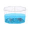 Small Fish Tank Aquarium Betta Box Breeder House with Divider Acrylic Transparent