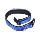 Strong Durable Dog Collar DuStrong Durable Dog Collar Dual D-ring Nylon Fasten Tape Length Adjustable Comfortable Neck Pet Collars for Small Large Medium Dogs