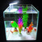 USB Aquarium LED Fan-shaped Clamp Lamp with 8pcs High Light SMD5730 LEDs Fish Tank White Light