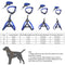 3pcs/Set Denim Heavy Duty Pet Dog Collar Leash