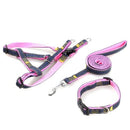 3pcs/Set Denim Heavy Duty Pet Dog Collar Leash