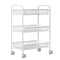 Multifunctional 3-Tier Mesh Wire Rolling Cart