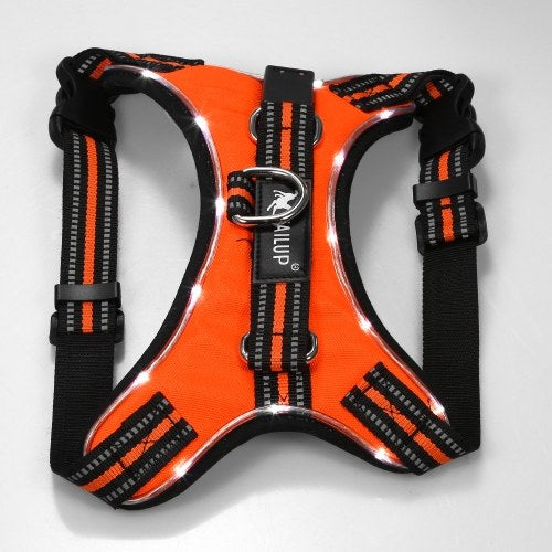 TAILUP LED Lamp Dog Harness LED Reflective Dog Vest