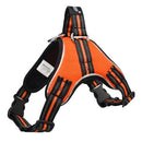 TAILUP LED Lamp Dog Harness LED Reflective Dog Vest