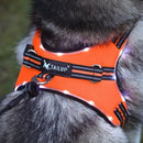 TAILUP LED Lamp Dog Harness LED Reflective Dog Vest