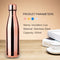 Water Bottle Stainless Steel 500ml