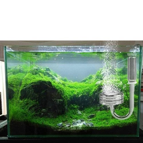 1L Aquarium CO2 Generator System Kit