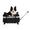 Pet Trolley Bag Pet Rolling Carrier Pet Travel Carrier Dog Carrier with Wheels for Cats