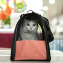 Portable Pet Cats Dogs Carrier Cat Dog Pet Travel Bag Designed for Travel Hiking Walking Outdoor for Weight within 4kg