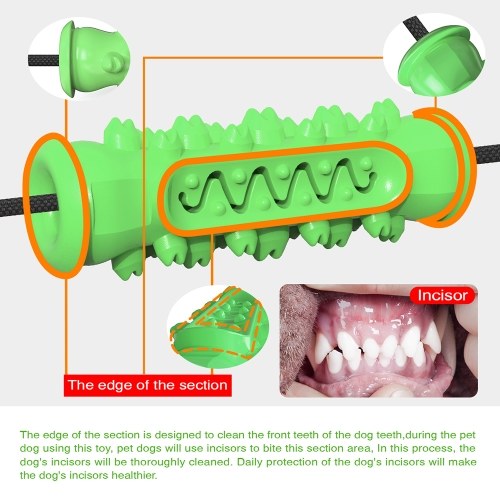 Pet Dog Molar Bite Chew Toy Dog Rope Pull Interactive Toy with Suction Cup for Pulling Chewing Teeth Cleaning