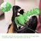 Pet Dog Molar Bite Chew Toy Dog Rope Pull Interactive Toy with Suction Cup for Pulling Chewing Teeth Cleaning